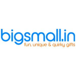 Bigsmall logo